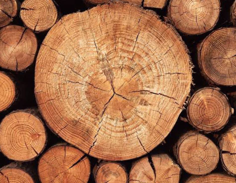 Premium Timber